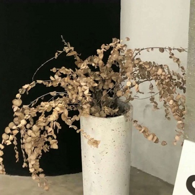 Furry插画素材合集福瑞交流群